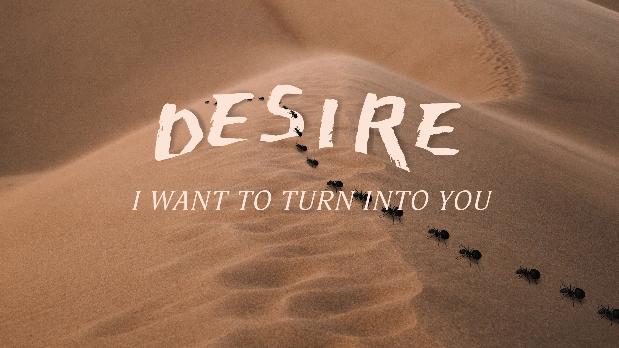 Caroline Polachek on Her New Album, 'Desire