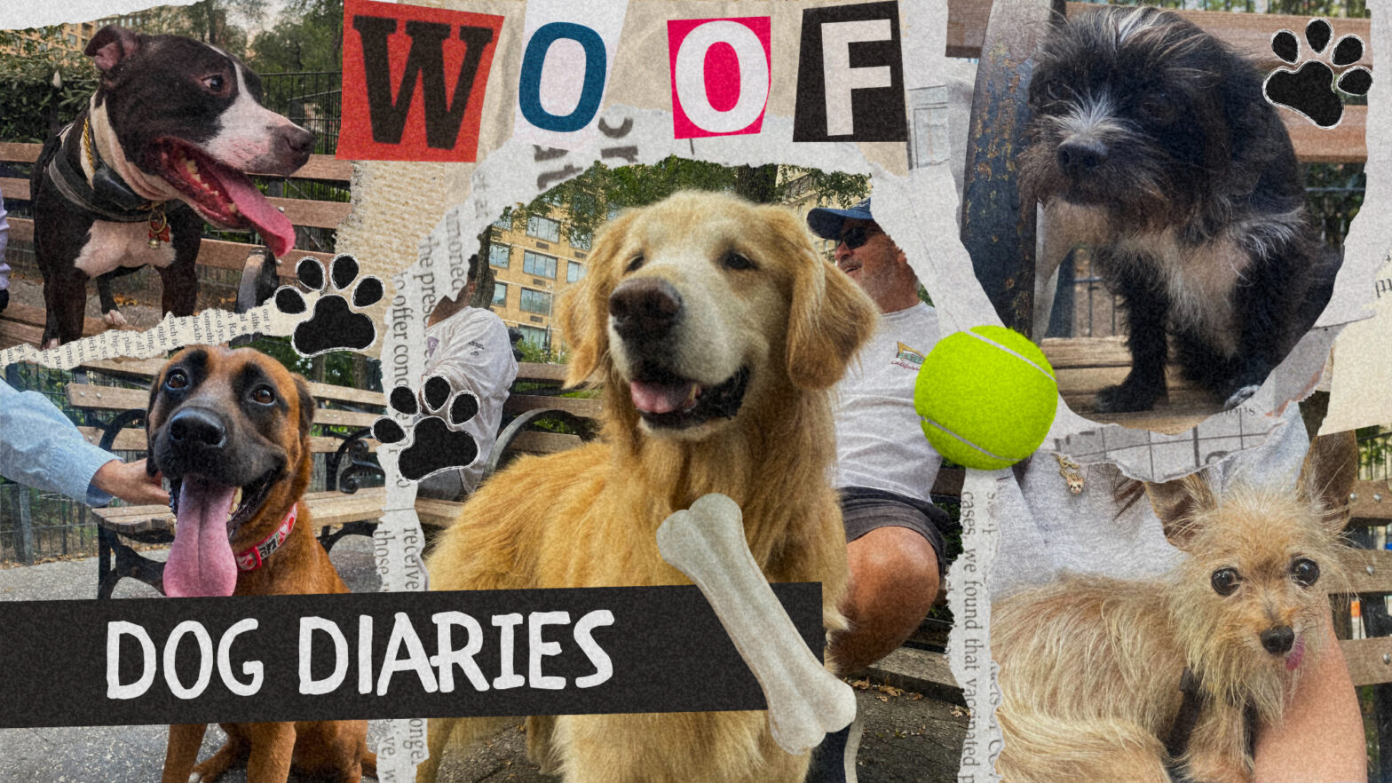 Dog Diaries: The underdogs of Union Square