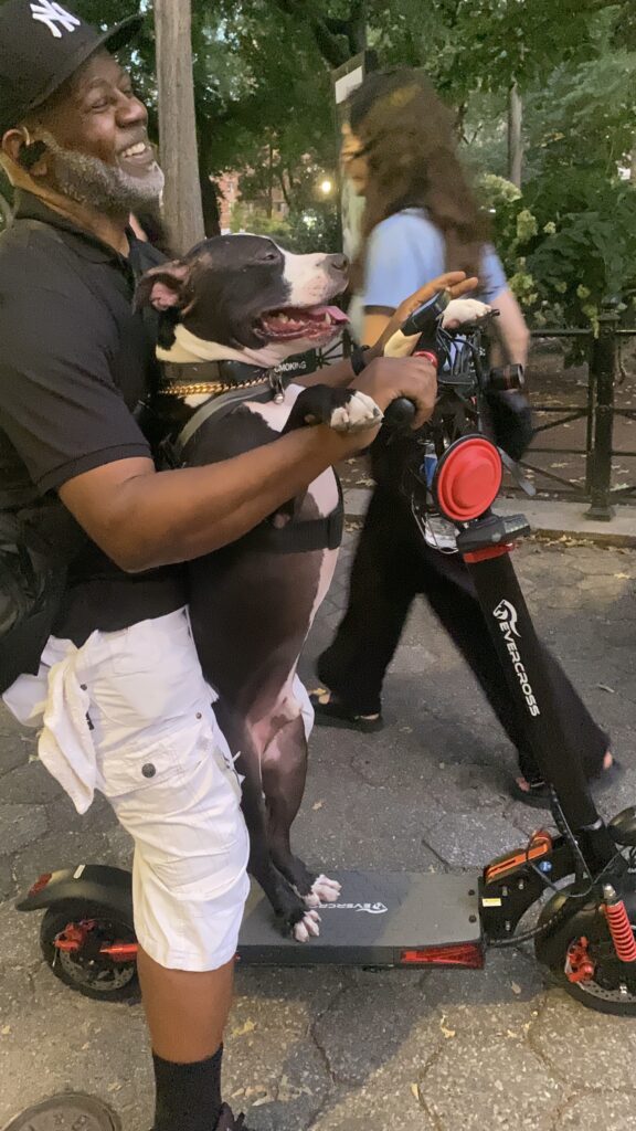 Kobe, the pit bull, riding a scooter on his hind legs being held up by his owner Prince.