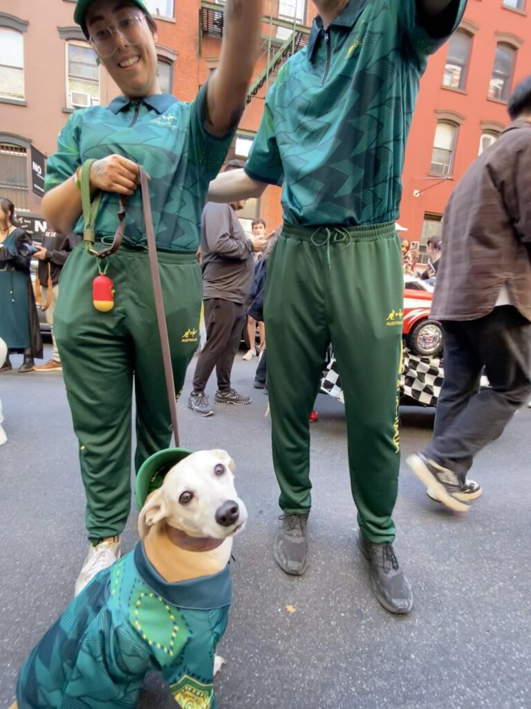 Whippet chihuahua mix dressed in a green and blue sweatsuit and hat, looks into the camera. Owners wearing matching outfits hold her leash in the background.
