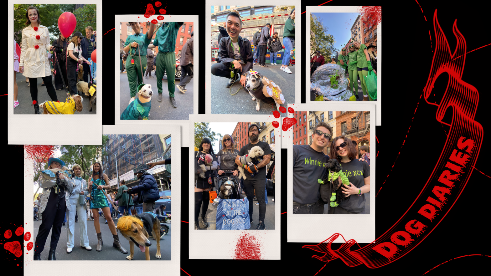 Dog Diaries: Tompkins Square Halloween dog parade 