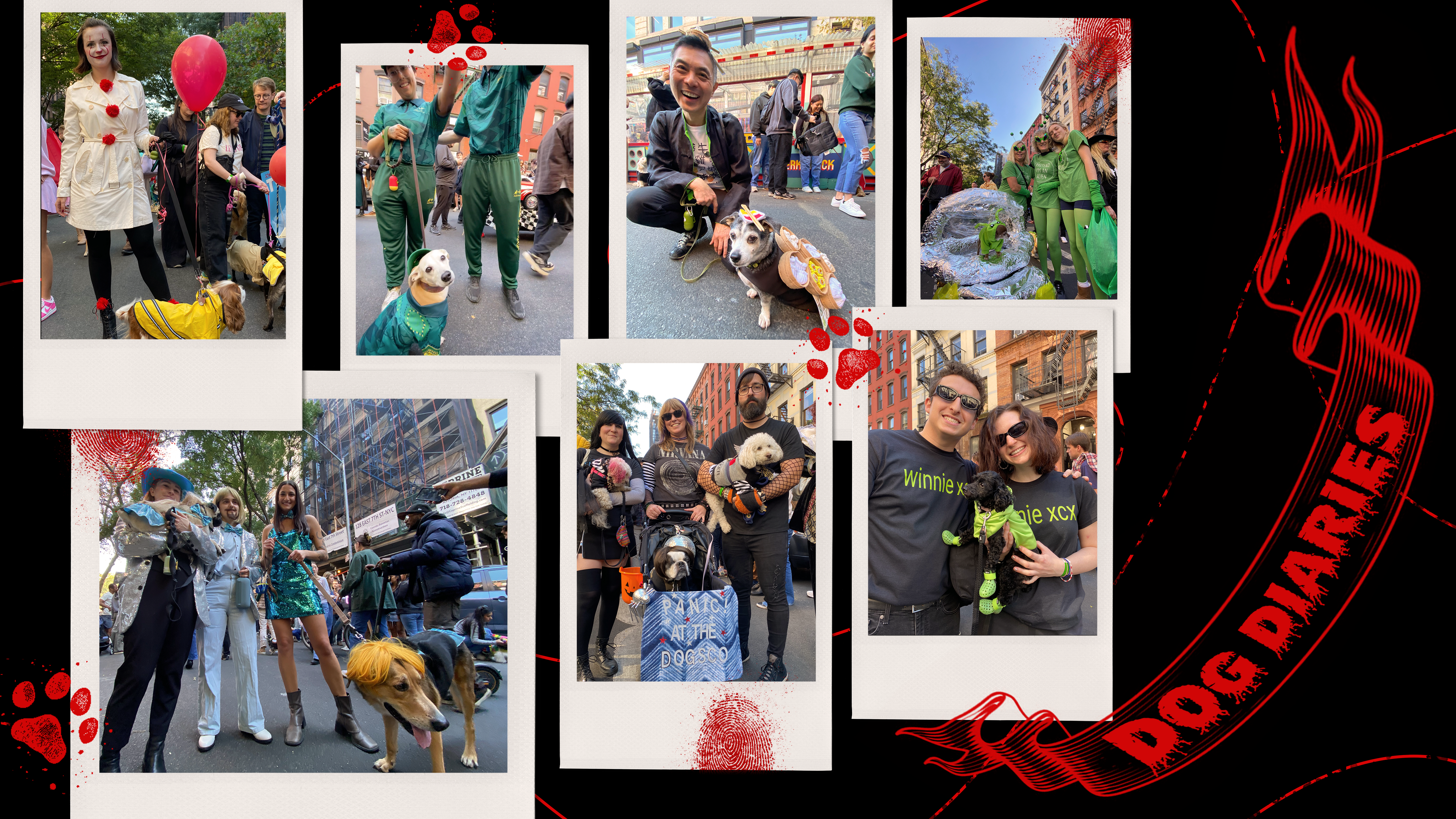 Collage of seven photos of dogs and their owners in costume in the style of Polaroids. Red lines and pawprints are overlaid on the collage. A red banner in the upper left reads “Dog Diaries.”