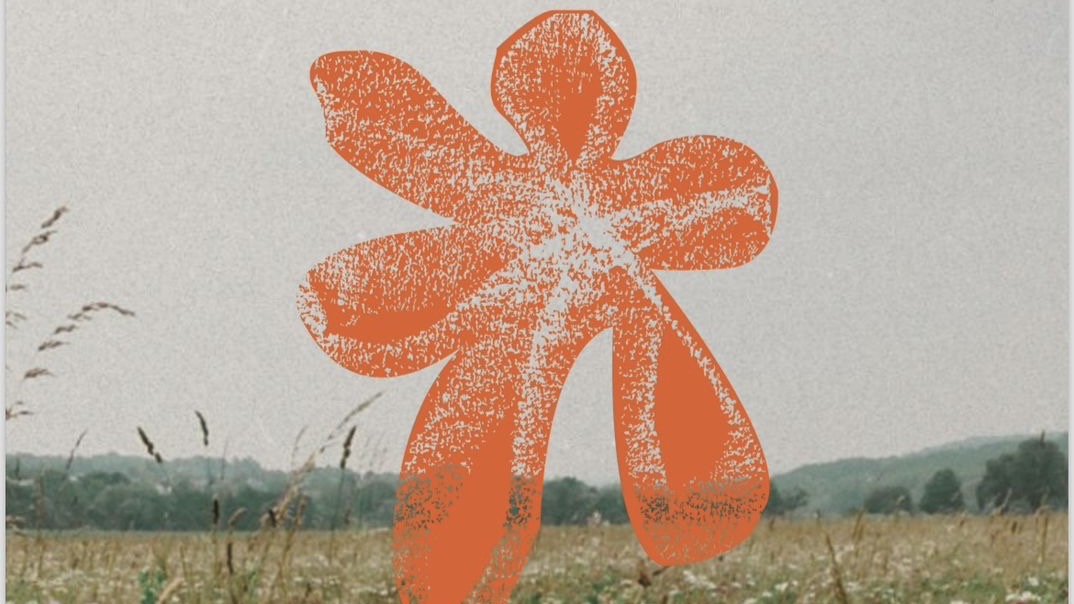 an orange flower set against a backdrop of a photo that depicts a meadow and a gray sky