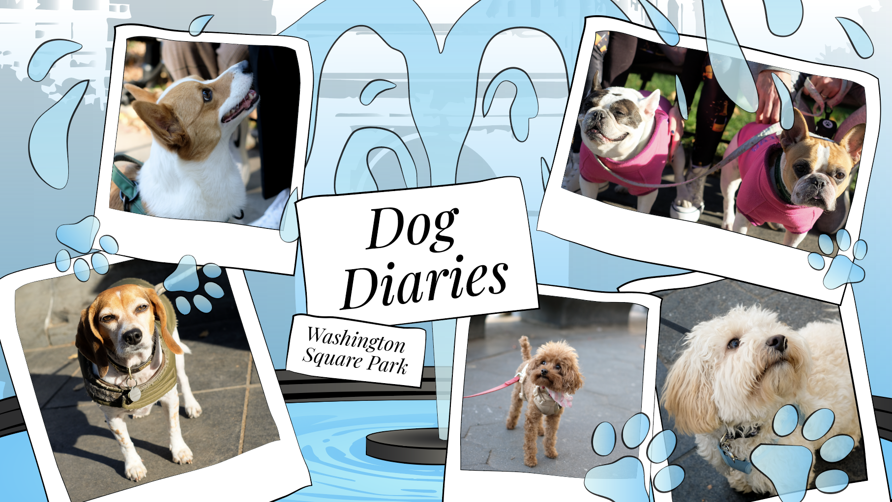 Illustration of a fountain pouring blue water with polaroid-style images of six dogs around the water. Blue pawprints are scattered over the images of the dogs. Text in the center of the image reads, “Dog Diaries,” and “Washington Square Park.”