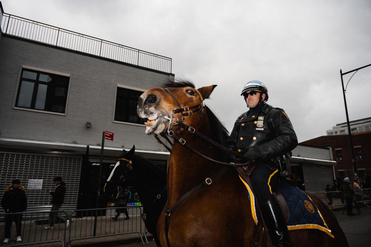 A police officer on horseback.